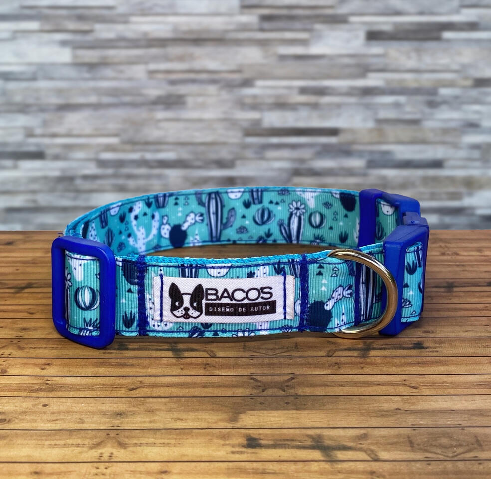 Cactus azules. Collar 2,5 cms de ancho.