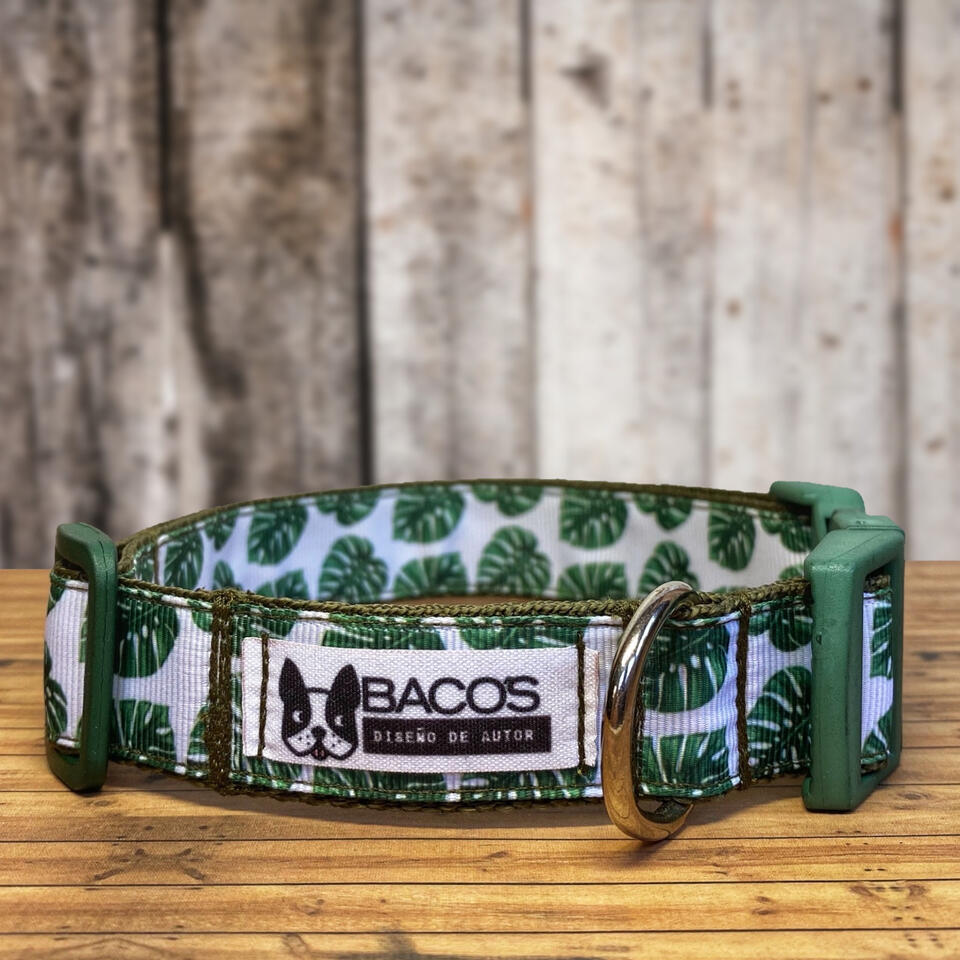 Tropic. Collar 2,5 cms de ancho.
